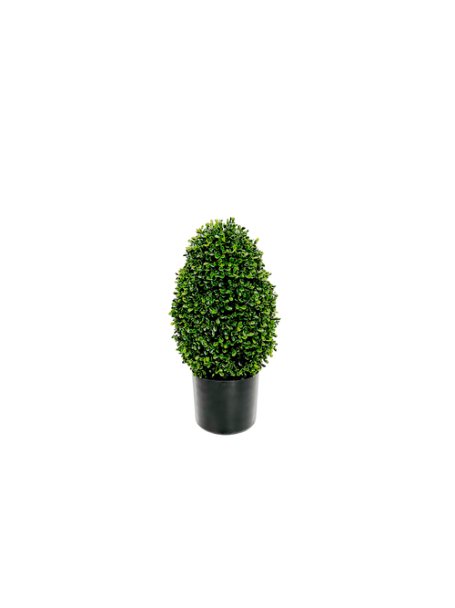 P3056-GYPSOPHILA