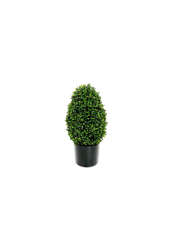 P3056-GYPSOPHILA