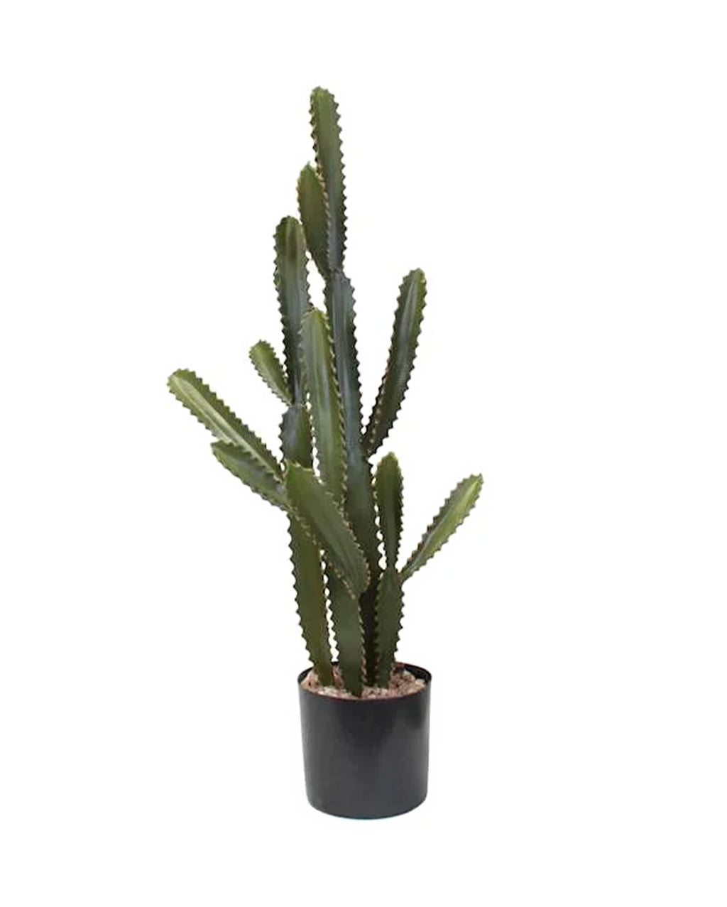 P6102-SILVER CACTUS
