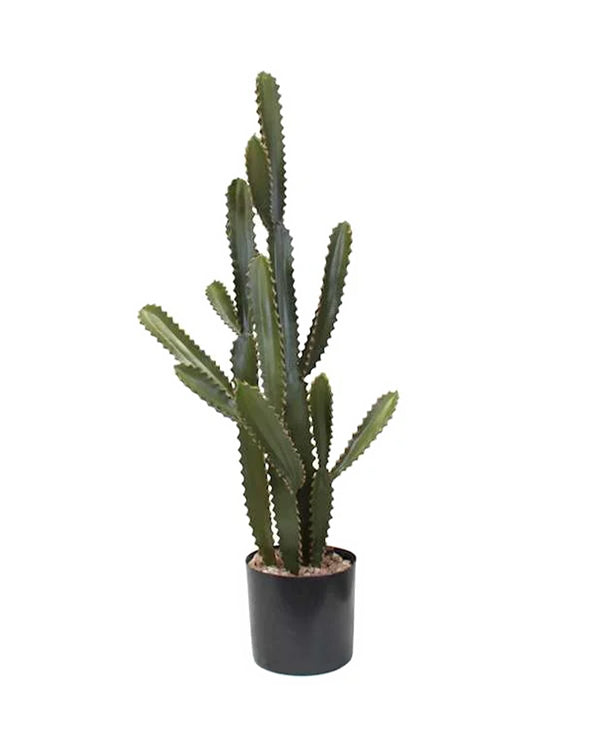 P6102-SILVER CACTUS