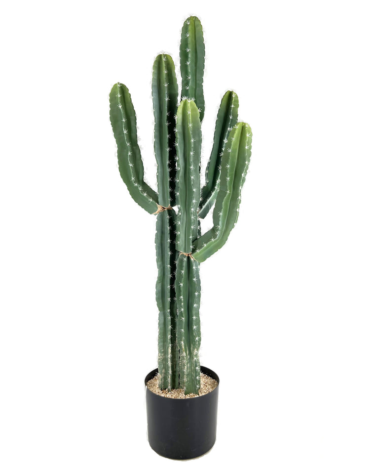 P6105-CACTUS UV RESISTANT FOR OUTDOORS
