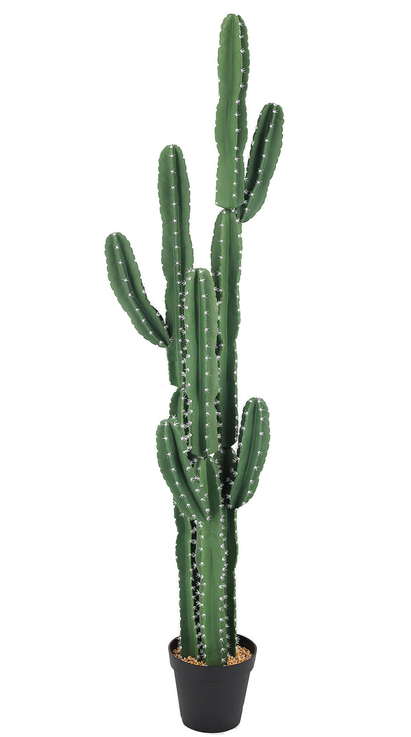 P6107-6 UV RESISTANT EUPHORBIA / CANDELARBRA CACTUS