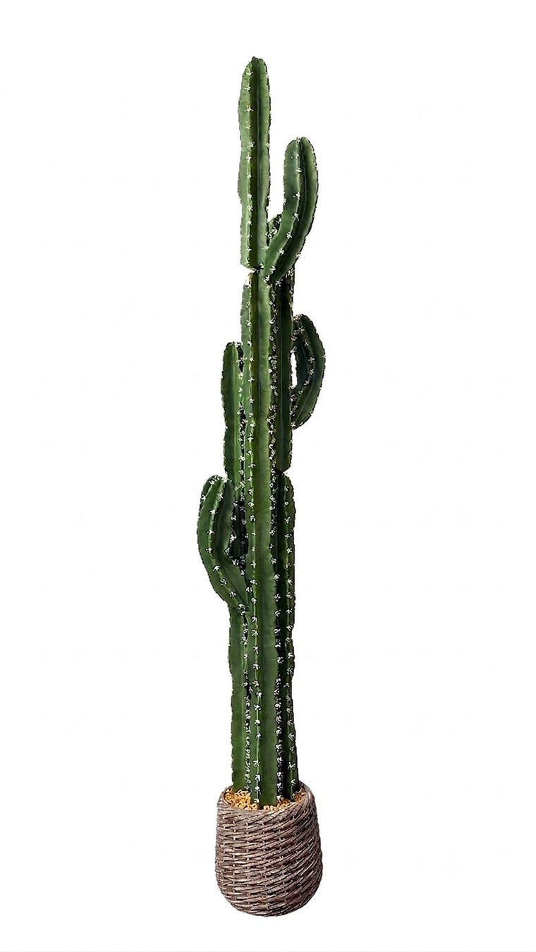 P6107-6