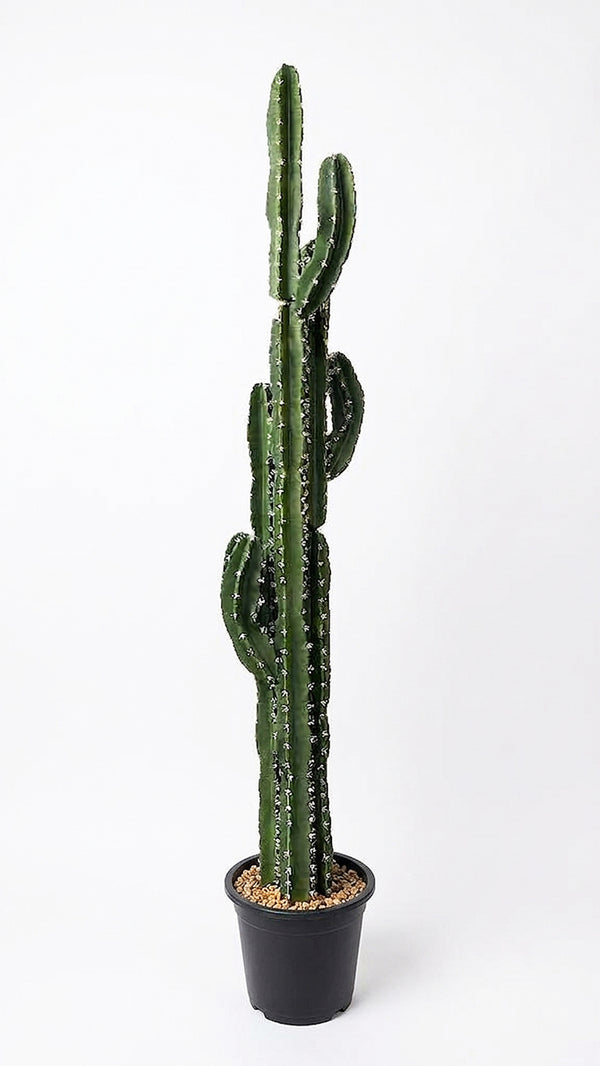 P6107-6 UV RESISTANT EUPHORBIA / CANDELARBRA CACTUS