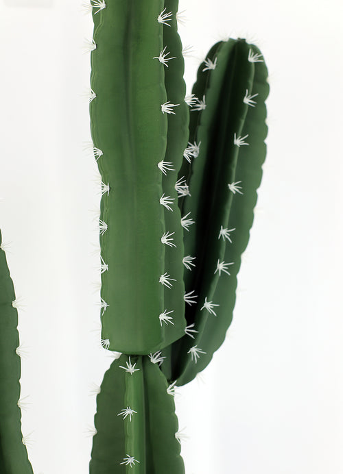 P6107-6 UV RESISTANT EUPHORBIA / CANDELARBRA CACTUS