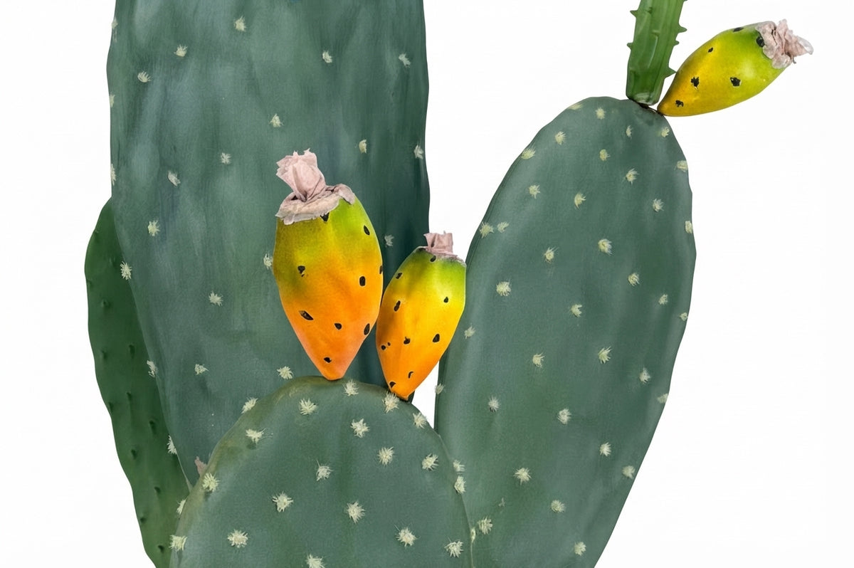 P6108-4.5  UV PRICKLY PEAR CACTUS