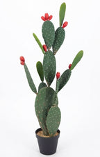 P6108-4.5  UV/OUTDOOR PRICKLY PEAR CACTUS