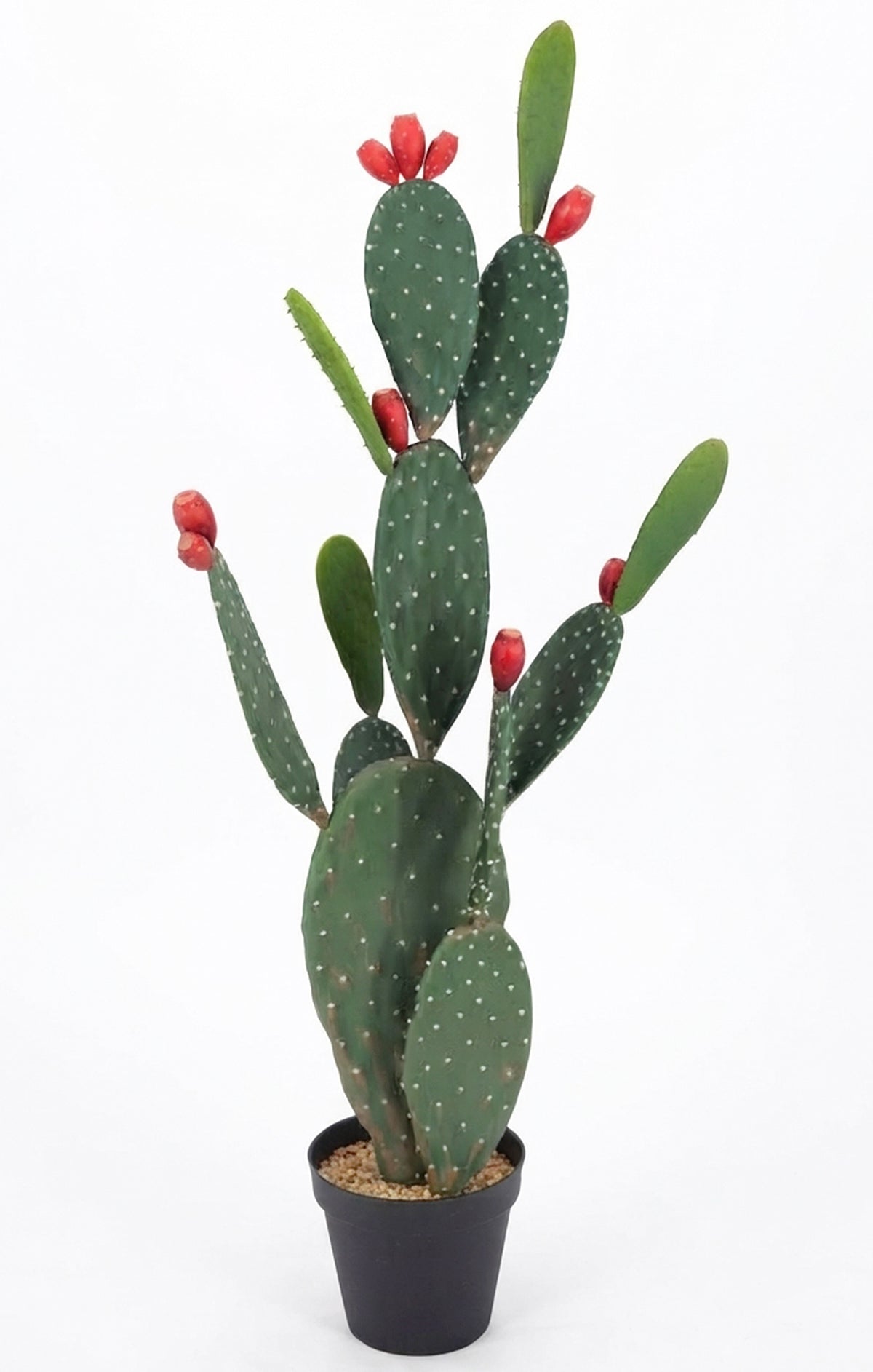 P6108-4.5  UV PRICKLY PEAR CACTUS
