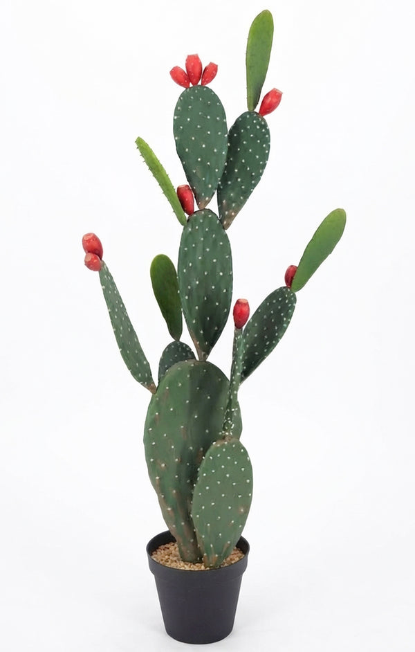 P6108-4.5  UV PRICKLY PEAR CACTUS