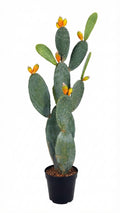 P6108-4.5  UV PRICKLY PEAR CACTUS