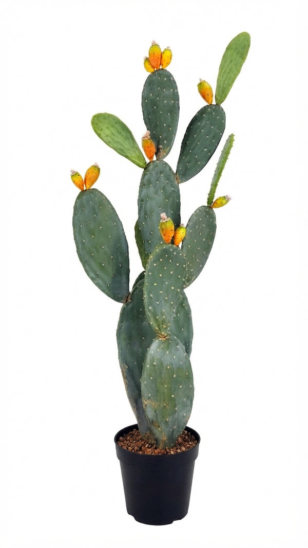 P6108-4.5  UV PRICKLY PEAR CACTUS