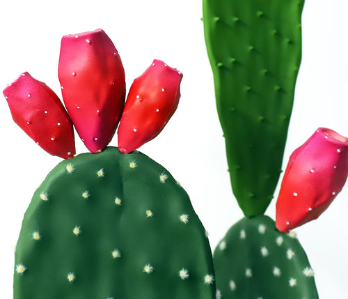 P6108-4.5  UV PRICKLY PEAR CACTUS