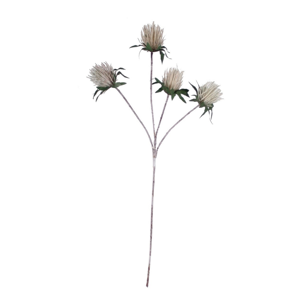 PP1116 - THISTLE SPRAY X4  GN