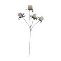 PP1116 - THISTLE SPRAY X4  GN