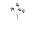 PP1116 - THISTLE SPRAY X4  GN