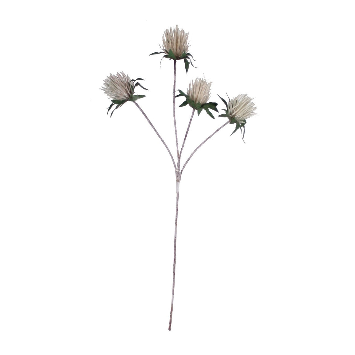 PP1116 - THISTLE SPRAY X4  GN