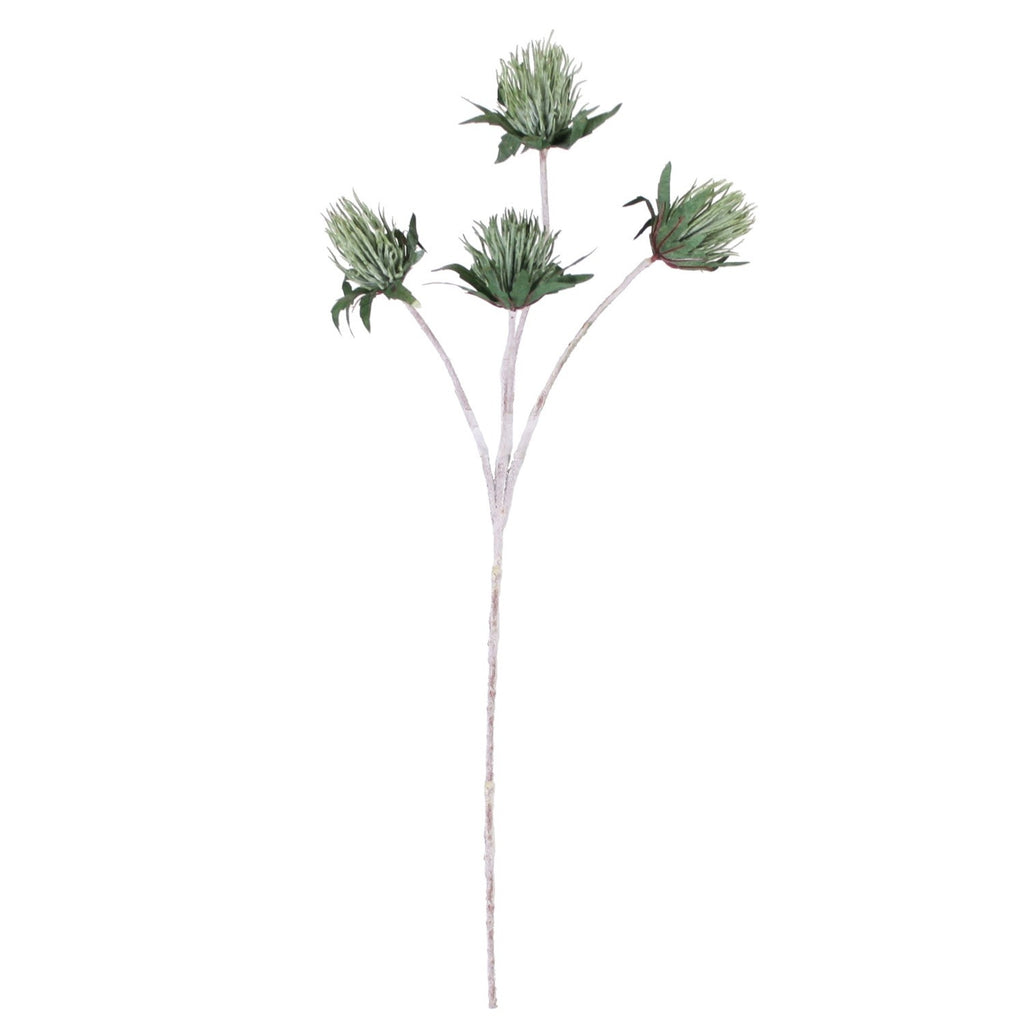 PP1116 - THISTLE SPRAY X4  GN