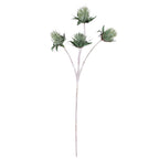 PP1116 - THISTLE SPRAY X4  GN