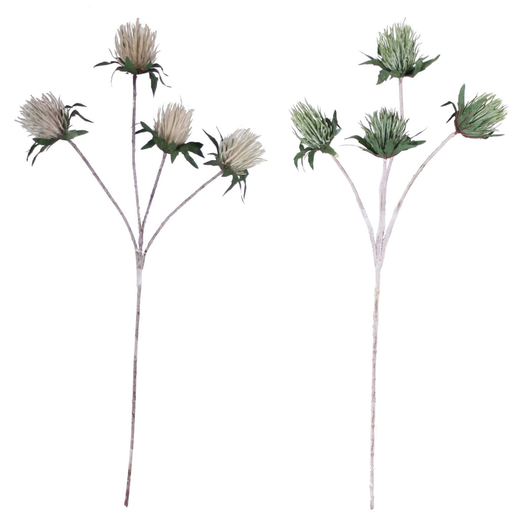 PP1116 - THISTLE SPRAY X4  GN