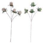 PP1116 - THISTLE SPRAY X4  GN