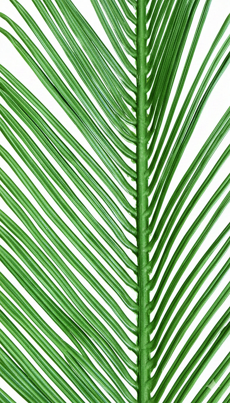 PP2014 - RESISTANT PALM FROND