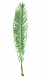 PP2014 - RESISTANT PALM FROND