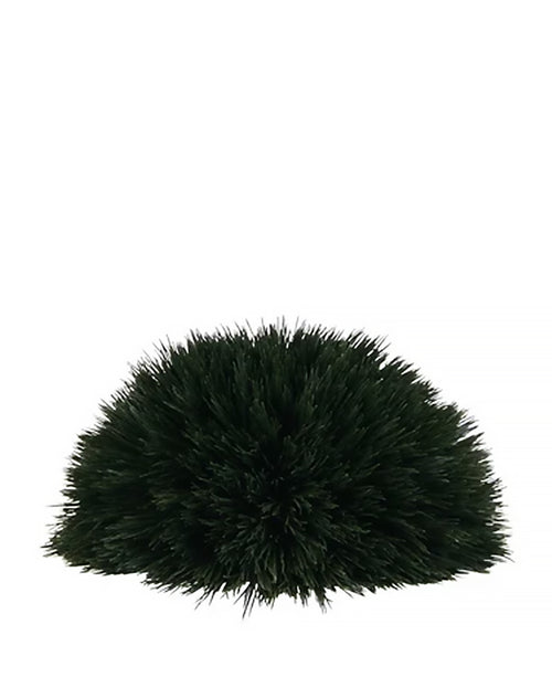 PP3012HB -  WHEAT GRASS MOUND