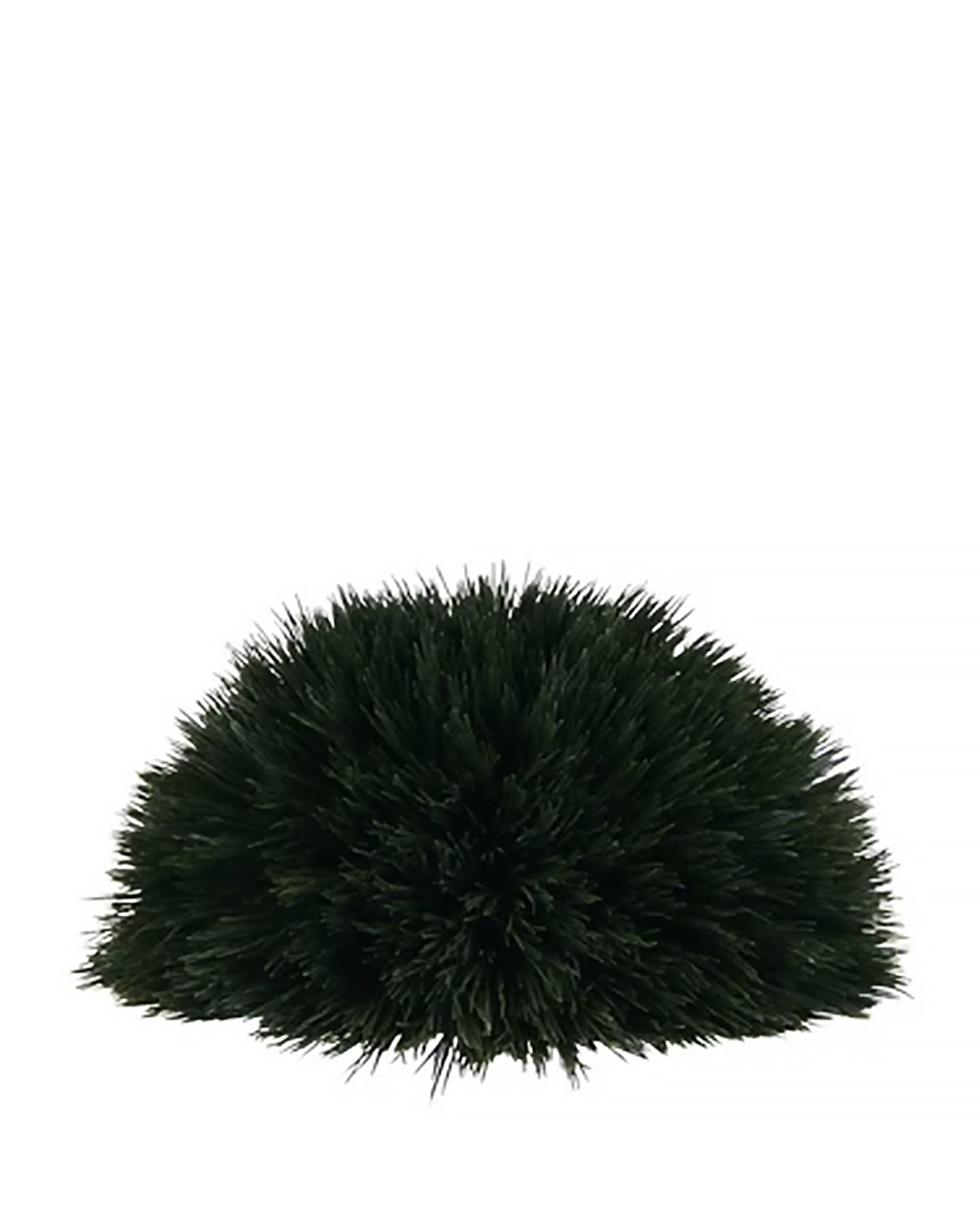 PP3012HB -  WHEAT GRASS MOUND