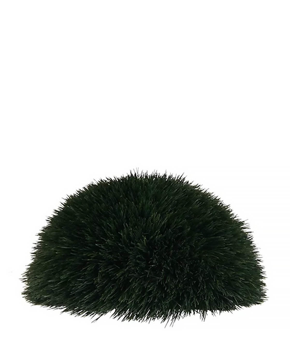 PP3012HB -  WHEAT GRASS MOUND