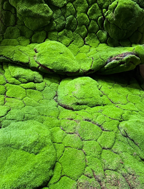 PP4025-STONE MOSS MAT
