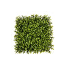 PP4036MT