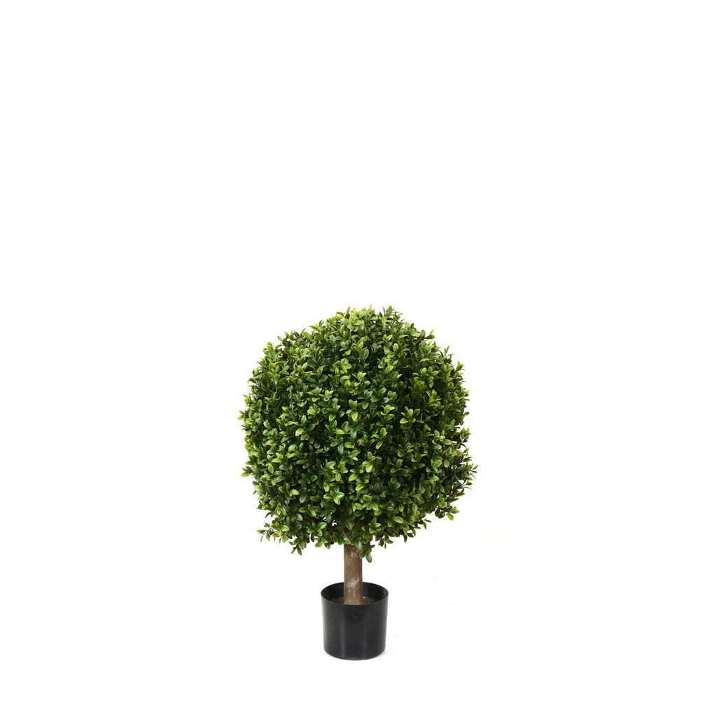 PP4036B-BOXWOOD BALL