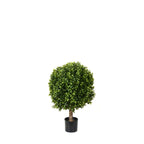 PP4036B-BOXWOOD BALL