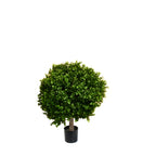 PP4036B-BOXWOOD BALL