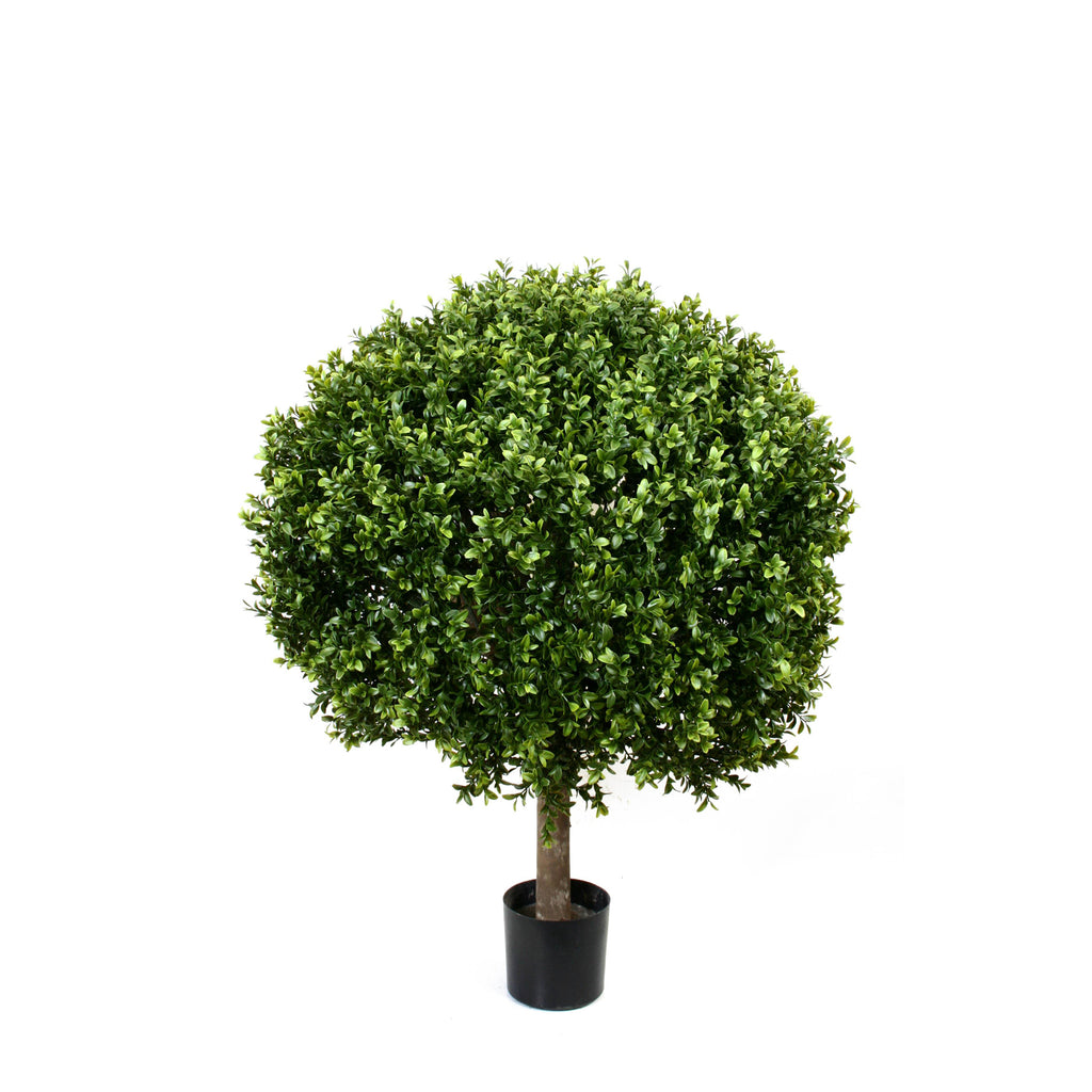 PP4036B-BOXWOOD BALL