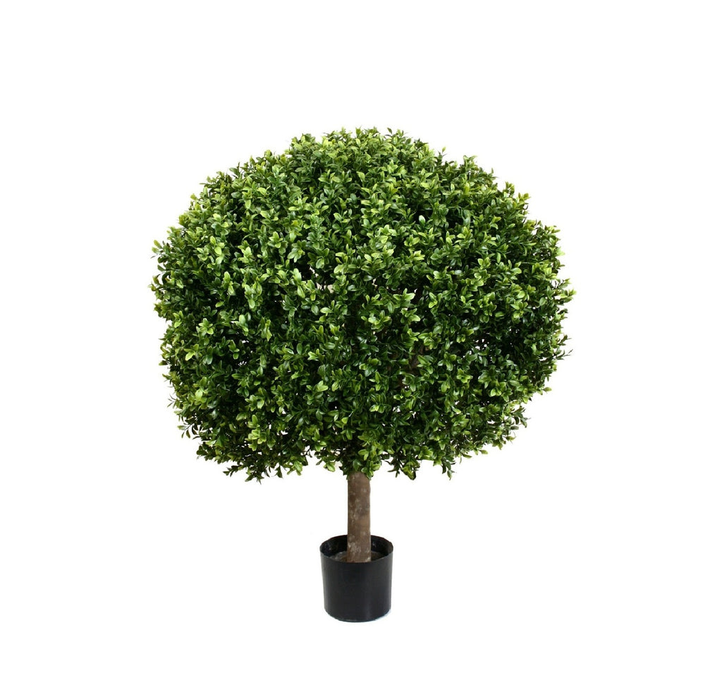PP4036B-BOXWOOD BALL