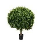PP4036B-BOXWOOD BALL