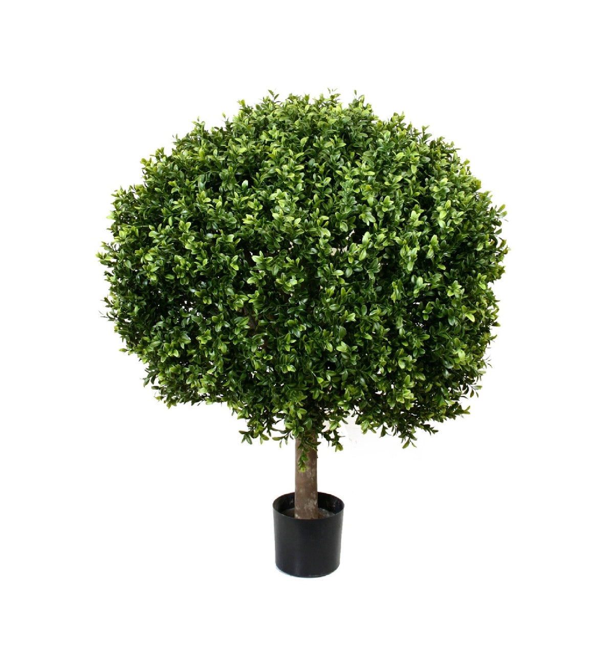 PP4036B-BOXWOOD BALL