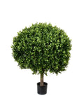 PP4036B-BOXWOOD BALL
