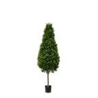 PP4036C-BOXWOOD TOWER