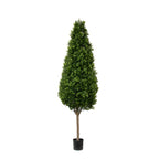 PP4036C-BOXWOOD TOWER