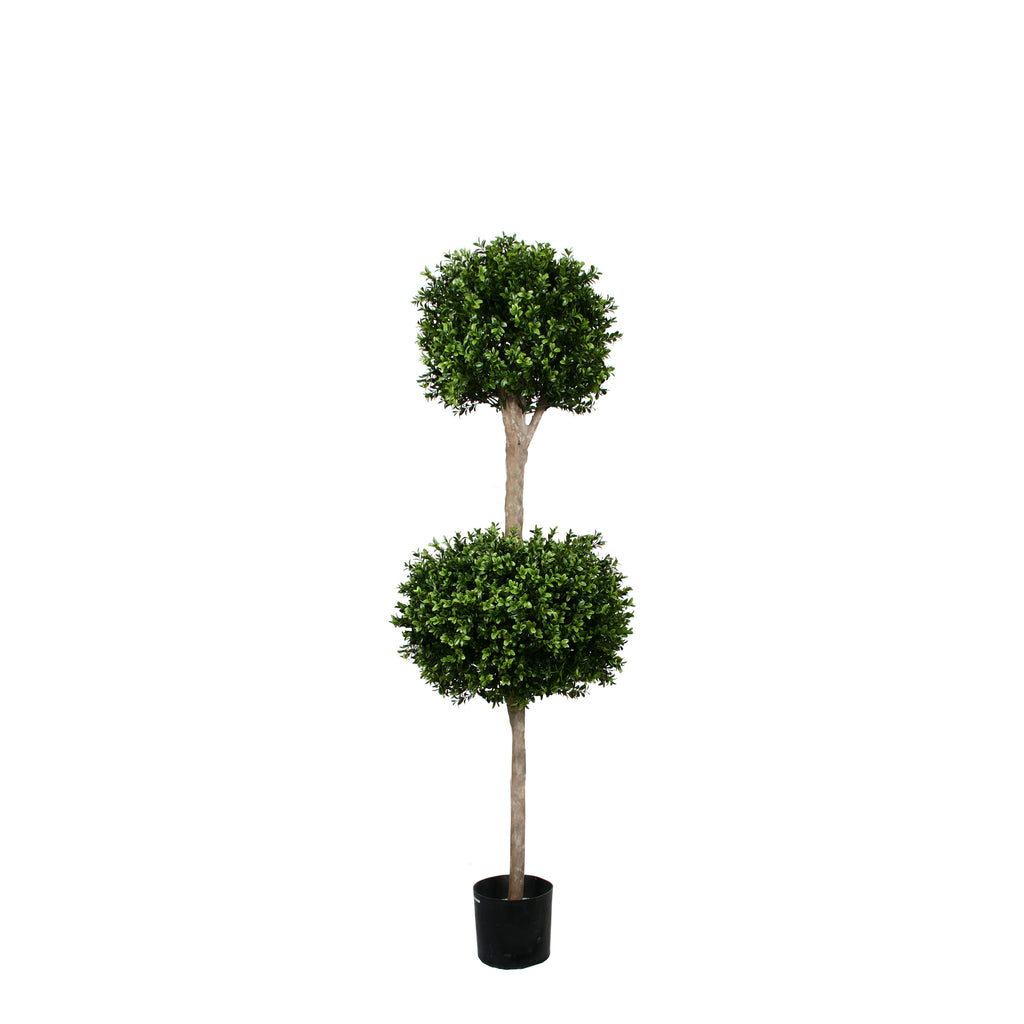 PP4036DB-BOXWOOD DOUBLE BALL TREE