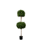 PP4036DB-BOXWOOD DOUBLE BALL TREE