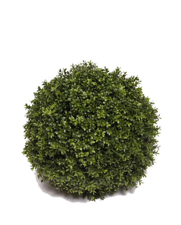 PP4036SB-BOXWOOD BALL