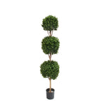 PP4036TB-BOXWOOD TRIPLE BALL TREE