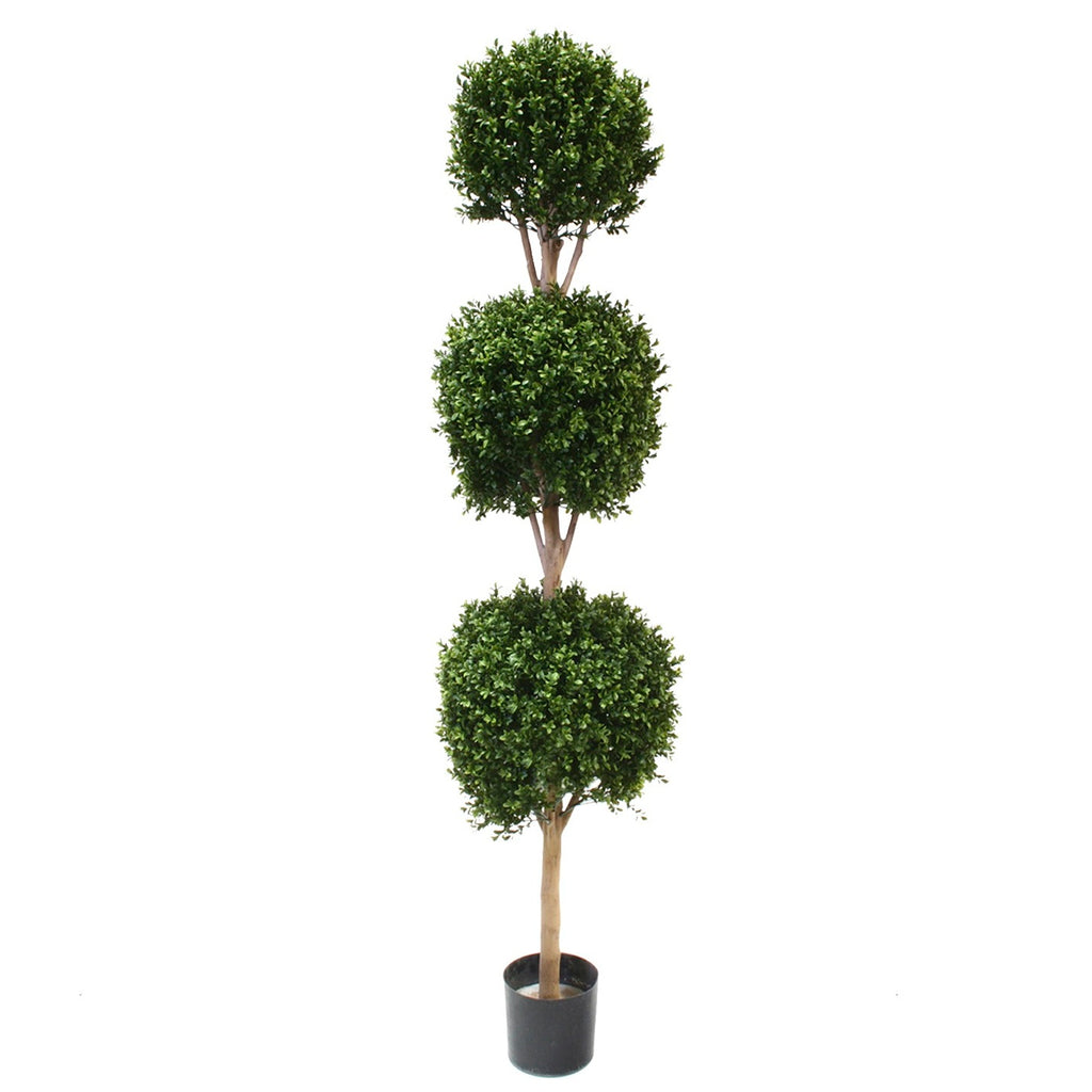 PP4036TB-BOXWOOD TRIPLE BALL TREE