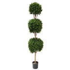 PP4036TB-BOXWOOD TRIPLE BALL TREE
