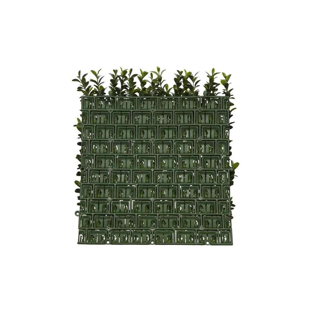 PP4036WMTA-OUTDOOR BOXWOOD WALL MAT WITH SOLID BACK.