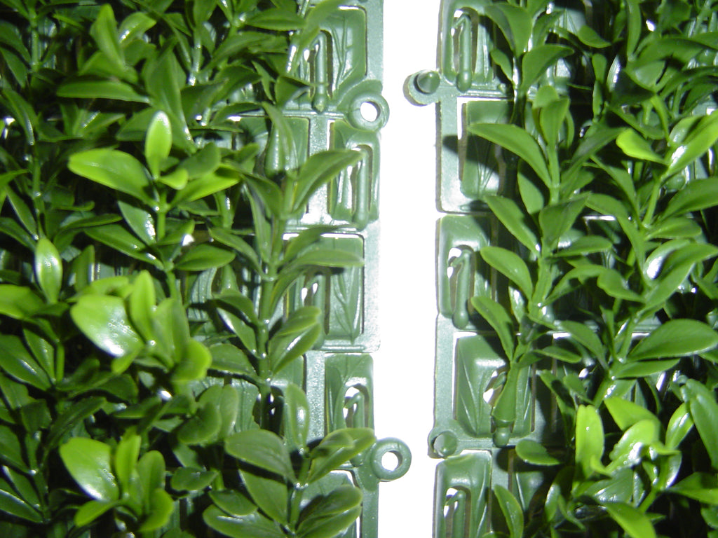 PP4036WMTA-OUTDOOR BOXWOOD WALL MAT WITH SOLID BACK.