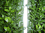 PP4036WMTA-OUTDOOR BOXWOOD WALL MAT WITH SOLID BACK.